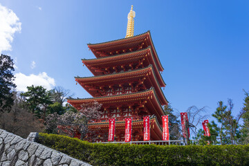春の晴れた日　高幡不動尊の五重塔（東京都日野市）