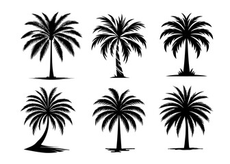 Set of six palm tree silhouettes showcasing diverse shapes, presented in bold black on a stark white background, ideal for versatile design use. Vector illustration.