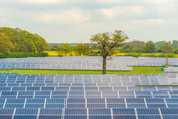 Solar Panel farm producing clean, renewable eco friendly energy, Modern power production concept