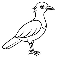 sketch of a bird