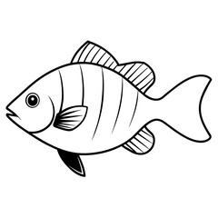 fish isolated on white