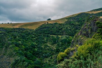 Breathtaking view over Te Toto Gorge Lookout and Mt Kariori on an overcast summer day. High vantage point. Raglan Waikato