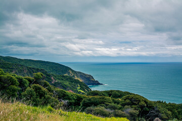 Panoramic view over high coast of Tasman Sea on an overcast summer day. High vantage point. Raglan, New Zealand
