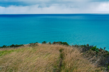 A narrow trail leading through tall grass towards the edge of promontory rising high above calm blue waters of Tasman Sea. Te Toto Gorge Lookout, Raglan, New Zealand