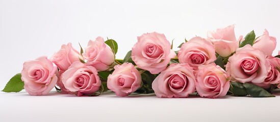 A copy space image of pink roses arranged in a bouquet stands out against the white background