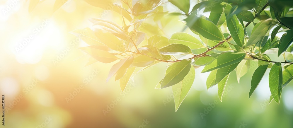 Poster a blurred background of green and brown foliage with sun flare creates a vibrant and natural texture