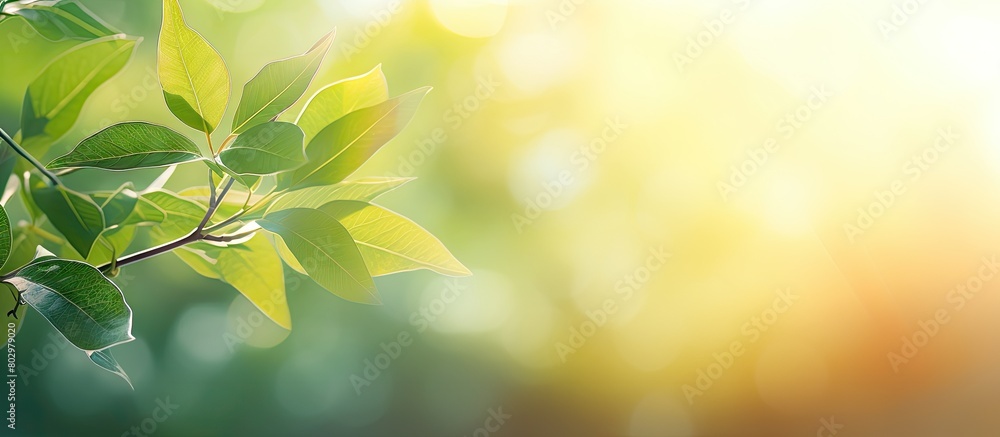 Poster a blurred background of green and brown foliage with sun flare creates a vibrant and natural texture