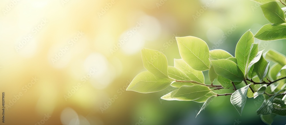 Poster a blurred background of green and brown foliage with sun flare creates a vibrant and natural texture