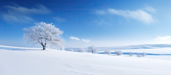 Fototapeta premium A beautiful winter landscape with a snow covered hill and a clear blue sky in the background providing a perfect copy space image
