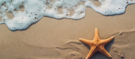 A background with a sandy texture featuring a starfish. with copy space image. Place for adding text or design