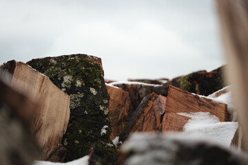 Holz im Schnee