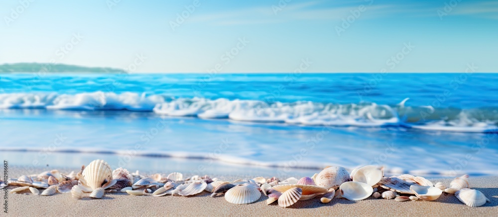 Poster A copy space image of shells scattered on a sandy beach with a captivating blue ocean wave in the background