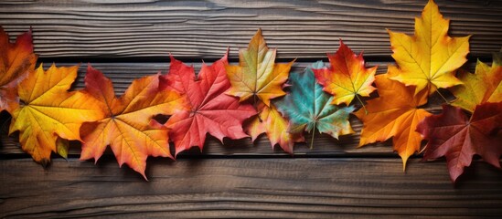 A copy space image showcasing colorful autumn leaves against a rustic wooden background