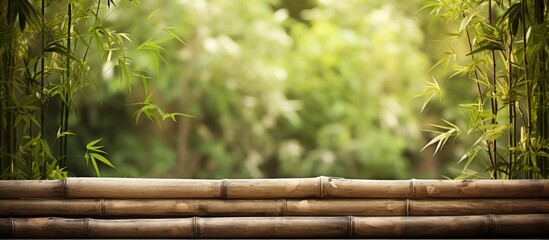 A copy space image featuring a rustic bamboo fence as the background