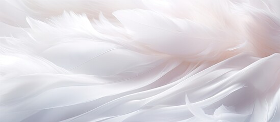Fototapeta premium A background with soft chiffon waves and delicate white silk feathers perfect for showcasing a beautiful copy space image