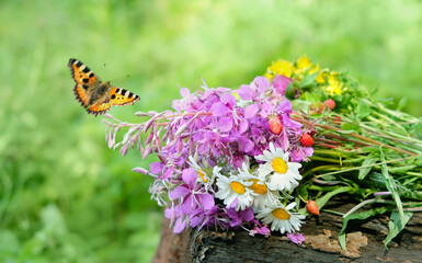 Butterfly and wild flowers on tree stump in forest, natural background. strawberry berries, flowers...