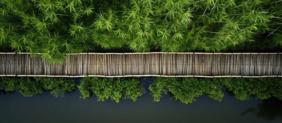 A copy space image showcasing a bamboo bridge on a canal as seen from a top down perspective