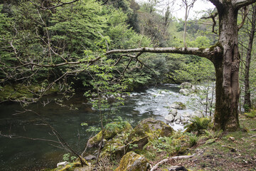 Chakvistskali river in Adjara, Georgia