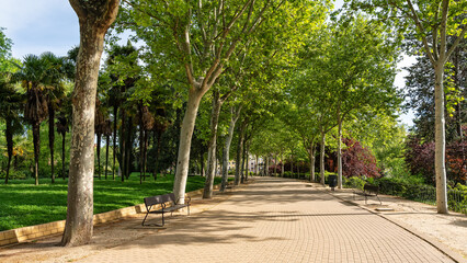 Public park with trees and wooden benches next to the Temple of Debod in Madrid.