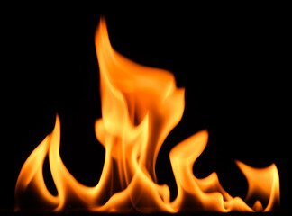 fire on a black background, burning and hot flames, close view
