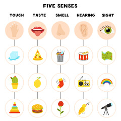 Five senses poster. Vector illustration. Sense organs.
