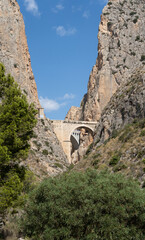 Mascarat Gorge, in the province of Alicante, Spain. Narrow pass with historic bridges of tourist interest