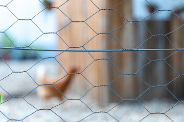 Chicken wire mesh detail