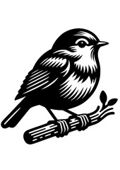 Robin bird SVG, Bird SVG, American bird SVG, Bird PNG, Robin Silhouette, Robin Clipart, Robin Cricut, Robin Art Print, Branch SVG