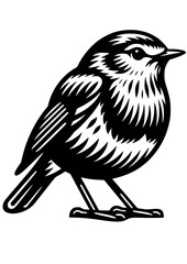Robin bird SVG, Bird SVG, American bird SVG, Bird PNG, Robin Silhouette, Robin Clipart, Robin Cricut, Robin Art Print, Branch SVG