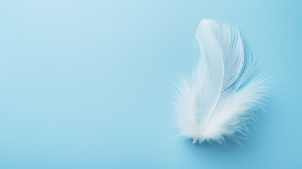 Fluffy white feather personifying lightness and comfort on a pale blue background with copy space