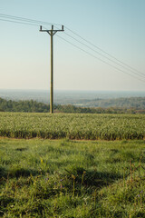Obraz premium Transmission lines on the southdown
