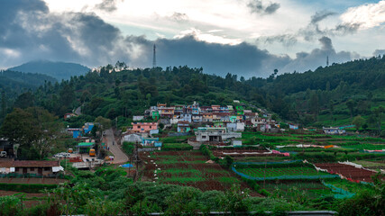 Nilgiris beauty of Ooty tea estates, where emerald-green fields meet the rolling clouds, creating a...