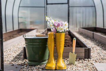 Yellow rubber boots with a bouquet of spring tulips and daffodils. A bucket and a small shovel in...