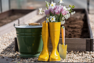 Yellow rubber boots with a bouquet of spring tulips and daffodils. A bucket and a small shovel in...