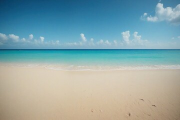 Fototapeta premium beach