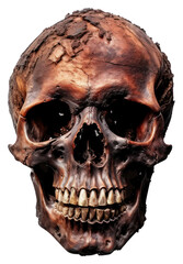 PNG  Skull with burnt white background representation anthropology.