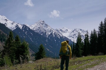 Fototapeta premium a man with a tourist backpack walks along a mountain road against the background of a forest and snowy mountains