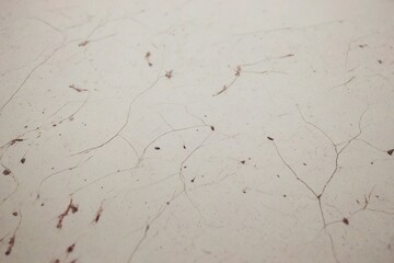 texture