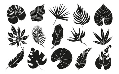 Collection of hand drawn vector tropical leaves. Exotic l eaves and branches in  flat style isolated on white. Natural elements with a line for the design of patterns, ornaments.