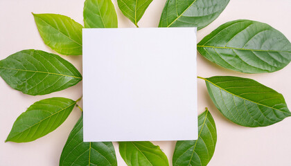 Mock-up of white blank card sheet paper and green leaves. Beautiful nature. Space for text. Top view