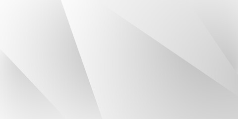 Abstract white and gray texture line shadow shape background. white pattern. vector illustration
