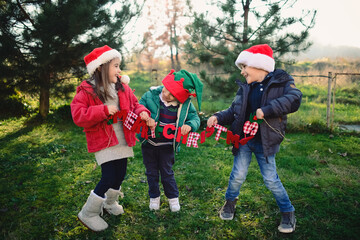 3 lovely brothers and sister holding Merry Christmas sign with nature background