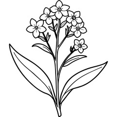 Forget Me Not flower plant outline illustration coloring book page design, Forget Me Not flower plant black and white line art drawing coloring book pages for children and adults