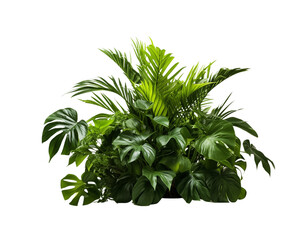 A lush arrangement of tropical plants with various leaf patterns, isolated on a transparent background. Generative AI