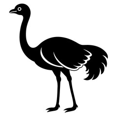 Ostrich bird silhouette vector icon illustration