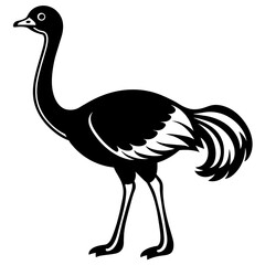 Ostrich silhouette vector icon illustration