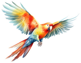 PNG Illustration of parrot bird flying animal.