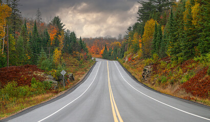 Fall colours along Highway 60 in Algonquin Park, Canada
