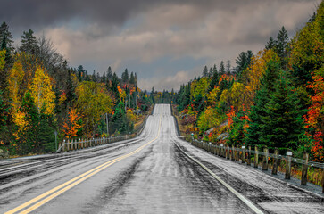 Fall colours after rain along Highway 60 in Algonquin Park, Canada