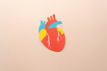 Human heart organ anatomy made from paper on beige background. Template for cardiology, world heart...